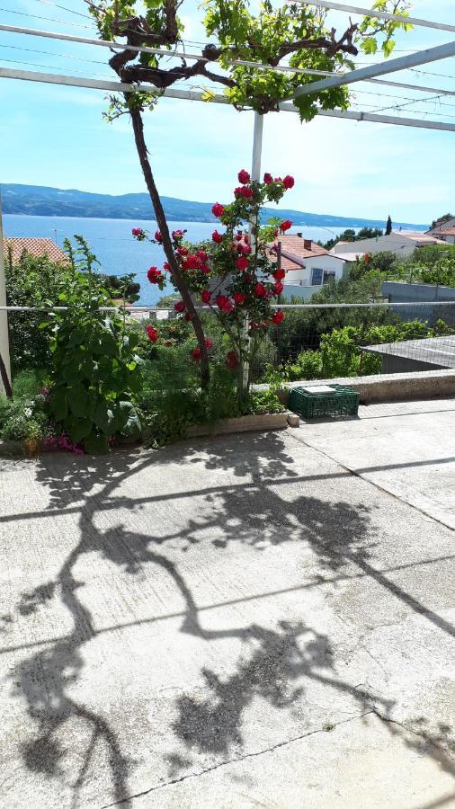 Anic Apartments Stanici Εξωτερικό φωτογραφία
